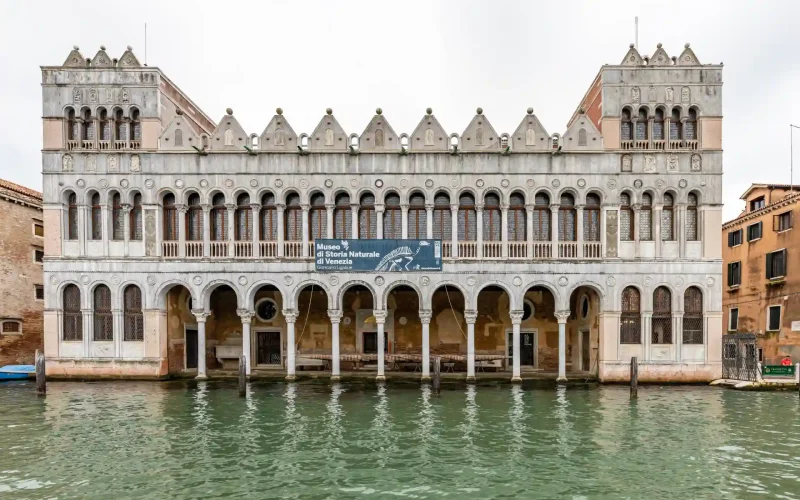 Museo di storia naturale