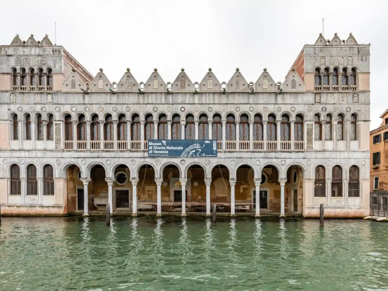 Museo di storia naturale