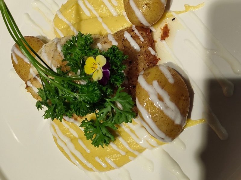 ecco-pesce-di-giorno